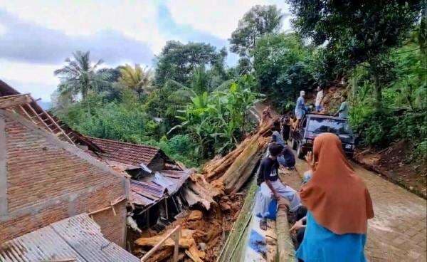Pohon Keramat Berukuran Raksasa Mendadak Tumbang Menimpa Rumah Warga Ponorogo