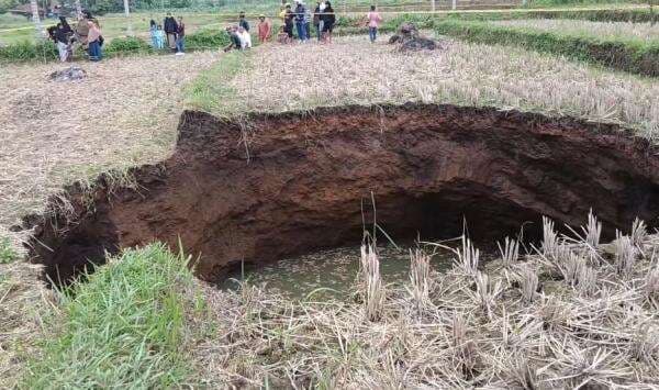 Geger Sinkhole Sedalam 5,7 Meter Muncul di Sawah Warga Limapuluh Kota