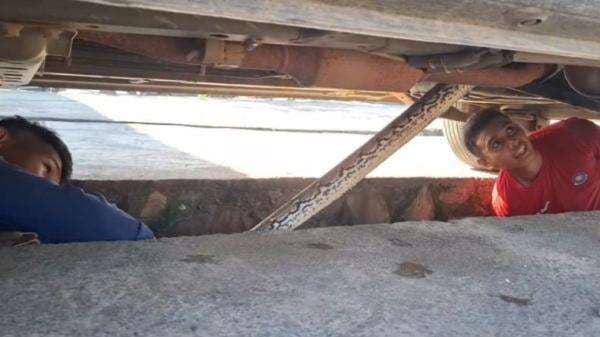 Ular Panjang Tiga Meter Dievakuasi dari Minibus di Kendari