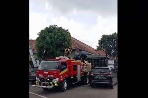 Viral Aksi Damkar Padamkan Kebakaran Pakai Baju Korpri, Rela Tinggalkan Pelantikan PPPK