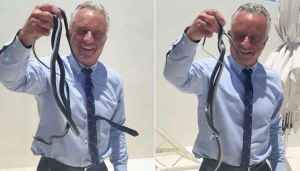Viral, Menkes AS Tangkap 2 Ular Sekaligus dengan Tangan Kosong