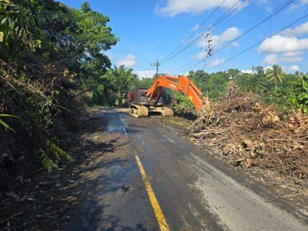 BNPB Pastikan Seluruh Akses Jalan dan Jembatan di Aceh Telah Pulih