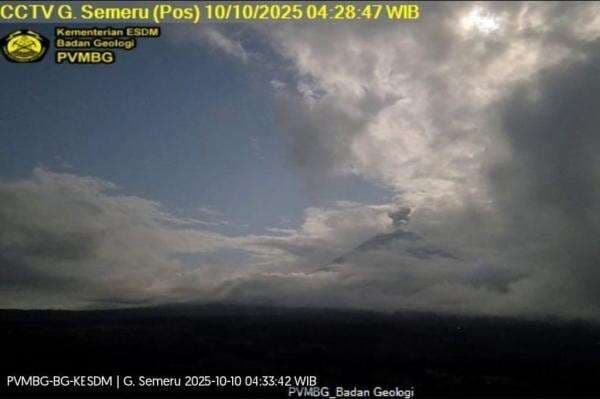 Gunung Semeru Erupsi, Kolom Abu Capai 500 Meter di Atas Puncak