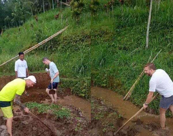 Viral Momen Bule Asyik Nyangkul di Sawah, Netizen: Petani Aja Naturalisasi