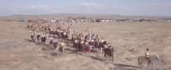 Dalam Hitungan Jam, Kuda Sandel dan Tenun Ikat Terpanjang Akan Menyatu di Sabana dan Bukit Tanarara