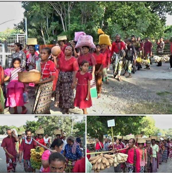 Ucapan Syukur Dihari Pentekosta Umat Paroki Wini  Persembahkan Hasil Kebun Dalam Gereja