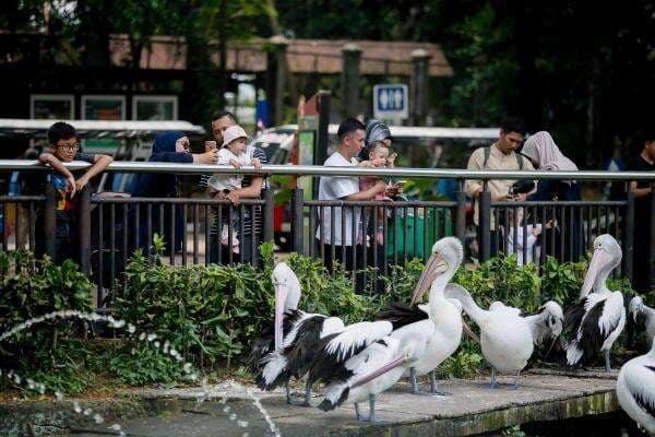 Ragunan Buka Sampai Malam, Satpol PP Peringatkan Jangan Berbuat yang Tak Pantas