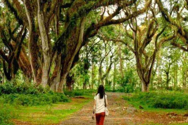 3 Tempat Wisata di Banyuwangi yang Sedang Hits, TikTokers dan Traveler Wajib Coba 