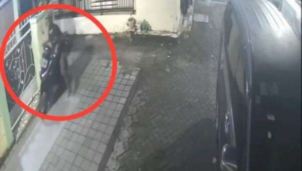 Viral! Motor Karyawati Cantik di Makassar Digondol Maling, Terekam CCTV Viral! Motor Karyawati Cantik di Makassar Digondol Maling, Terekam CCTV