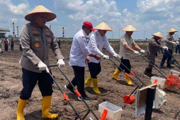 Dorong Swasembada Pangan, Gubernur Kalsel Dukung Penanaman Jagung Serentak