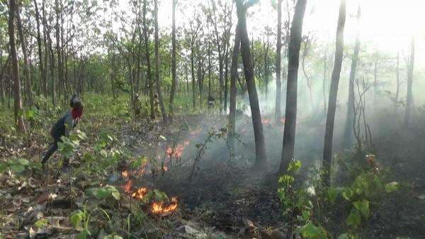 Musim Kemarau Tiba, BPBD Bojonegoro Peringatkan Ancaman KARHUTLA