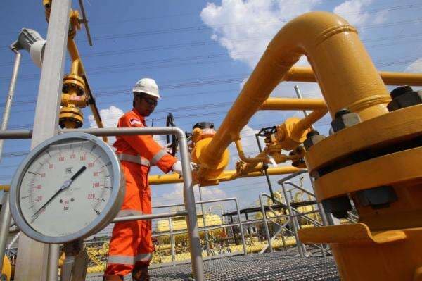 PGN Bagikan Dividen Rp 182 per Saham, Yield Tembus 10 Persen