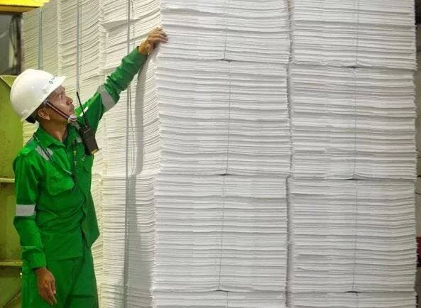 Kegiatan Operasional Terhenti, Toba Pulp (INRU) Tak Berencana Ubah Lini Bisnis