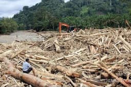 Selidiki Illegal Logging di Aceh, Polisi Ungkap Kayu Gelondongan di Sungai Tamiang Sengaja Dihanyutkan 