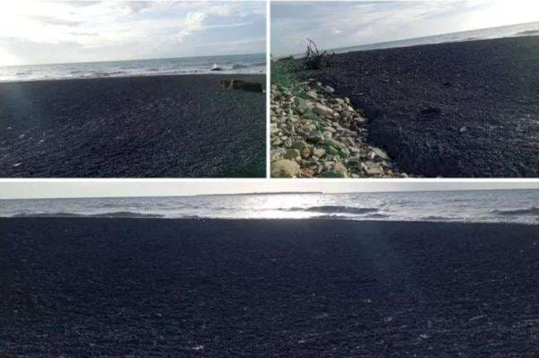 Viral Narasi Bukit Liman di Kupang Meletus, Ini Fakta Sebenarnya