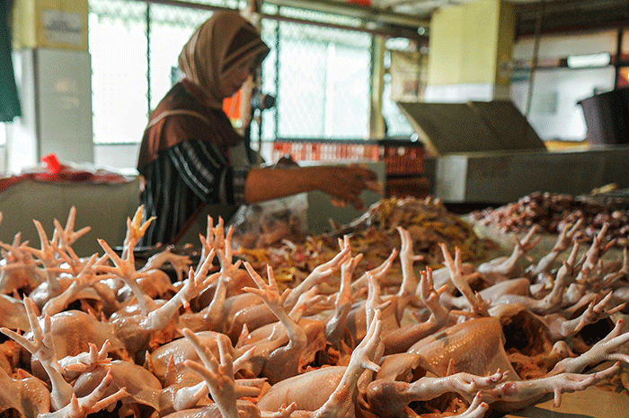 Harga Pangan Jelang Akhir Tahun Terpantau Turun, Daging Ayam Jadi Rp39 Ribu per Kg