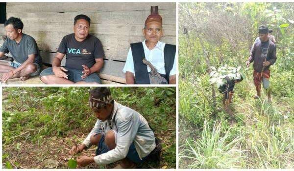 Kacuautang, Ritual Kampung Adat Wundut Menjaga Hutan