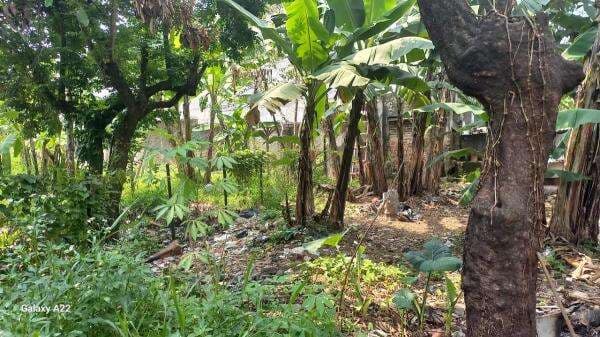 Kejagung Lelang 4 Lahan Pembobol Bank BUMD Andi Winarto, Laku Rp5,4 Miliar