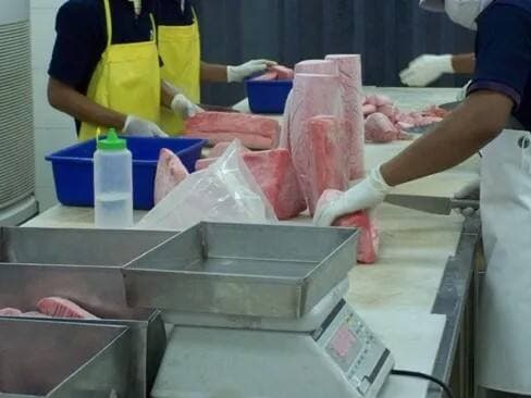 Saham IKAN Bergerak di Bidang Apa? Emiten Pengolahan Ikan, Simak Profil Bisnis dan Pemiliknya