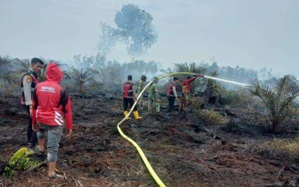 Ancaman Karhutla 2025 Dinyatakan Selesai, Jumlah Luas Area Terbakar Diklaim Turun 