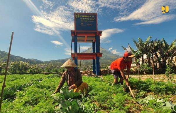 Cuaca Ekstrem, Risiko Gagal Panen Meningkat Jelang Akhir 2025
