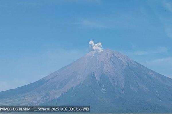 Gunung Semeru Erupsi Hari Ini, Letusan Kolom Abu Capai 500 Meter
