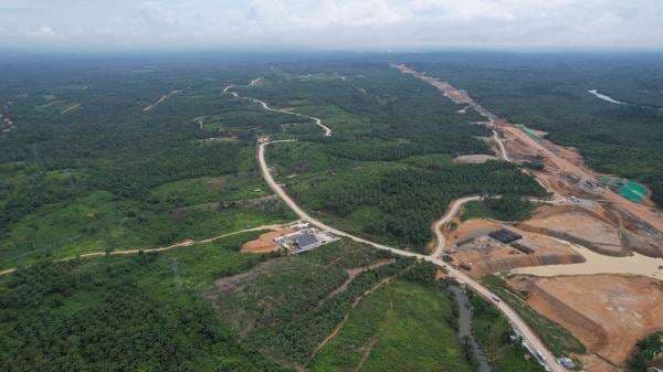 Negara Pemilik Gambut Diminta Percepat Restorasi, Indonesia Punya 24 Juta Hektare