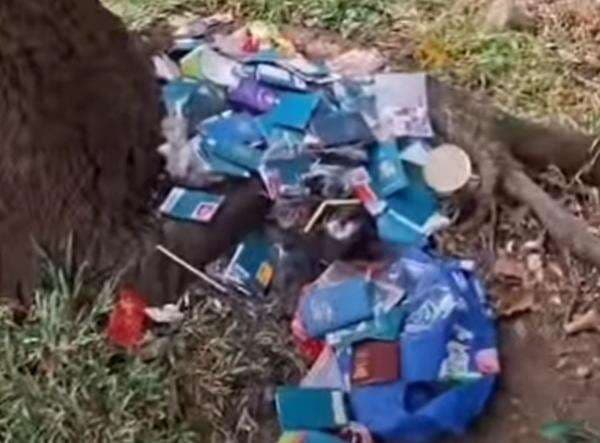 Viral Paspor Diduga Milik Jamaah Haji Berserakan di Jalanan BSD, Imigrasi Lakukan Investigasi