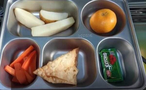 Viral Menu MBG Pangsit Goreng di Depok, Ini Respons BGN