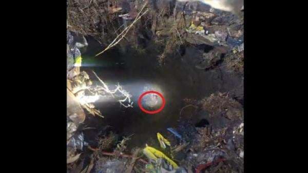 Lolos dari Maut, Pria di Bangkalan Ditemukan Lemas Terjebak 2 Hari di Sumur Tua