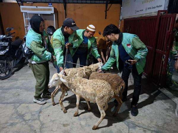 Perayaan Iduladha 1446 H, Grab Bagikan Ratusan Ekor Kambing kepada Mitra Pengemudi