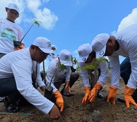 374.839 Pohon Ditanam PNM, Jejak Nyata Hijaukan Negeri di Hari Gerakan Satu Juta Pohon