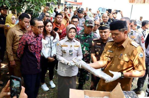 Gurita Beku Bantaeng Berhasil Tembus Pasar Mexico Untuk Pertama Kalinya