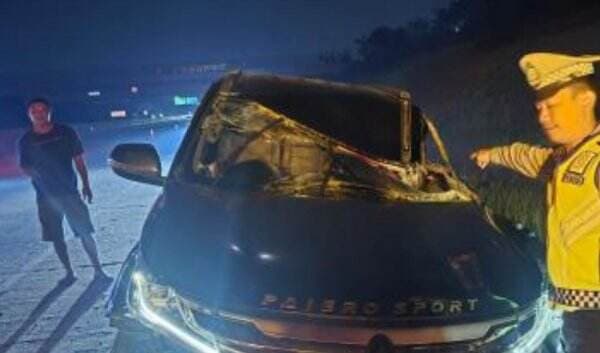 Kecelakaan Pajero Tabrak Truk Gandeng di Tol Batang, Purnawirawan TNI Luka Parah 