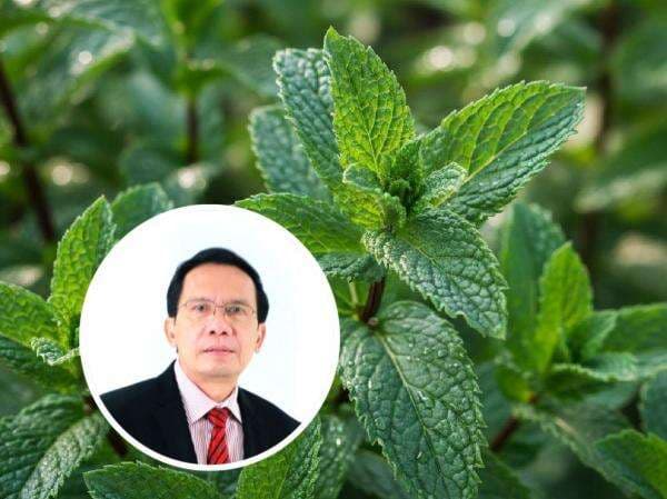 Bahan Alami Neumentix Bisa Sehatkan Otak dan Mental, Ini Penjelasannya