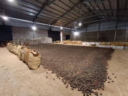 Mendag Busan Dorong Hilirisasi Komoditas Gambir