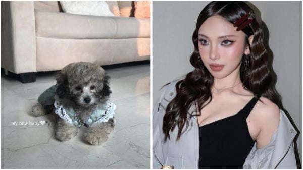 Geger! Jule Mendadak Pelihara Anjing usai Diisukan Hamil Anak Safrie
