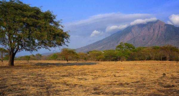 5 Tempat Wisata di Banyuwangi, Ada yang Viral!