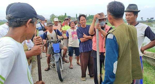 PETANI MENGAMUK! Sawah Terendam Tak Kunjung Surut, Jalan Perbatasan Nyaris Dijebol