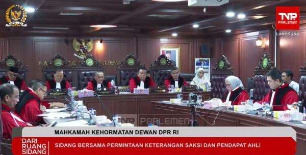 Saksi Ahli: Anggota DPR Joget di Sidang Tahunan Bukan karena Naik Gaji
