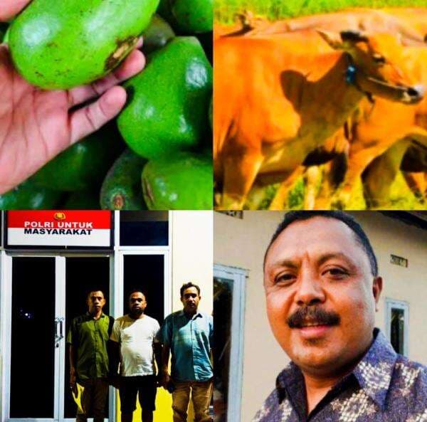 Diduga Minta Rp170 Juta Lewat Kode "Advokat", Anggota DPRD TTS Sefriths Nau Diadukan ke Polda NTT Diduga Minta Rp170 Juta Lewat Kode "Advokat", Anggota DPRD TTS Sefriths Nau Diadukan ke Polda NTT