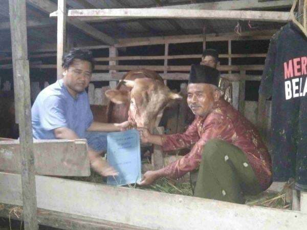 Iduladha 2025: Warga Jenawi Dapat Sapi Kurban Raksasa dari Presiden Prabowo