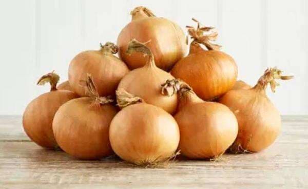 133,5 Ton Bawang Bombai Ilegal Digagalkan Masuk RI Berkat Lapor Pak Amran