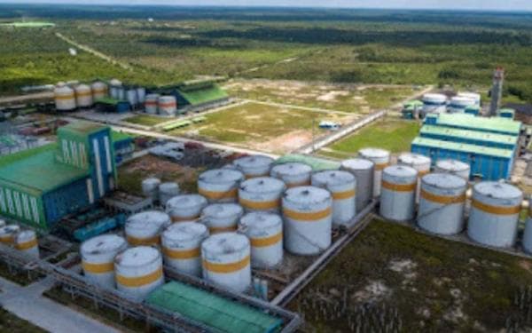 Citra Borneo Utama (CBUT) Siap Pacu Kinerja di 2026, Program B50 Jadi Katalis