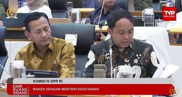 Menhut Pakai Drone Cari Asal-Usul Kayu Gelondongan yang Terbawa Banjir di Sumatera