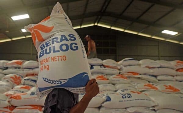 Harga Beras di Penggilingan, Grosir dan Eceran Masih Turun per November 2025