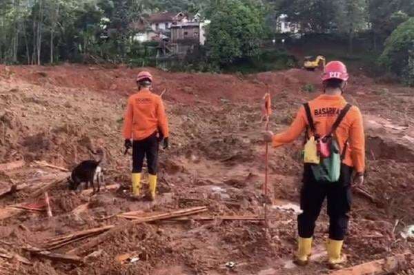 Polrestabes Semarang Kirim 15 Anjing K9 ke Lokasi Longsor Cilacap dan Banjarnegara