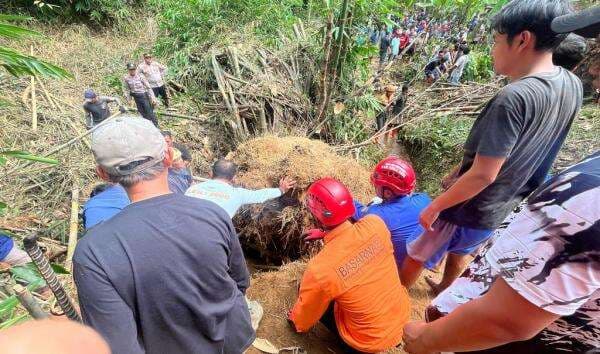 Evakuasi Dramatis, Pria Tewas Tertimbun Longsor saat Tebang Bambu Evakuasi Dramatis, Pria Tewas Tertimbun Longsor saat Tebang Bambu