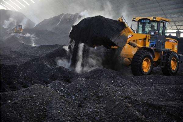 Laba Samindo Resources (MYOH) Melesat 57 Persen Meski Pendapatan Turun di Semester I-2025