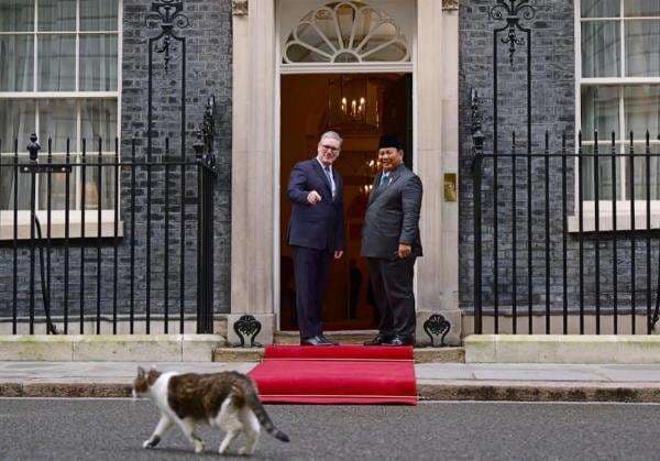Larry the Cat Beraksi, Prabowo dan PM Inggris Auto Senyum di 10 Downing Street